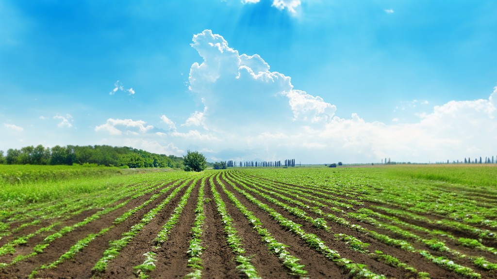 Una agricultura climáticamente inteligente