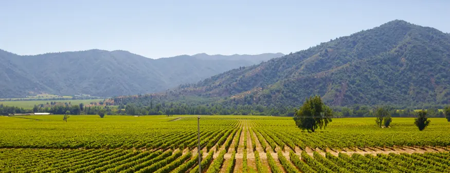 Zonificación vitivinícola chilena en base a antecedentes climáticos y geológicos para vinos tranquilos y espumosos