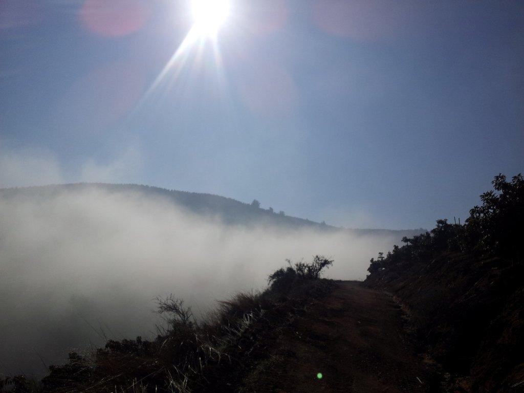 Actualización del Modelo de Riesgo de Incendio área Los Bronces – Las Tórtolas