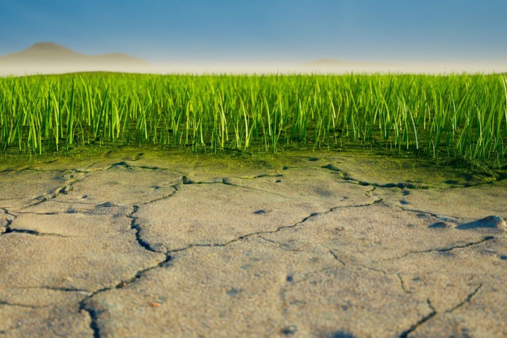 Curso Riesgo, vulnerabilidad y adaptación al cambio climático